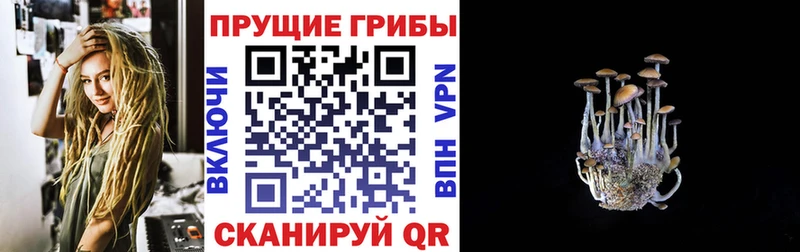 закладка  Туапсе  Псилоцибиновые грибы мухоморы 